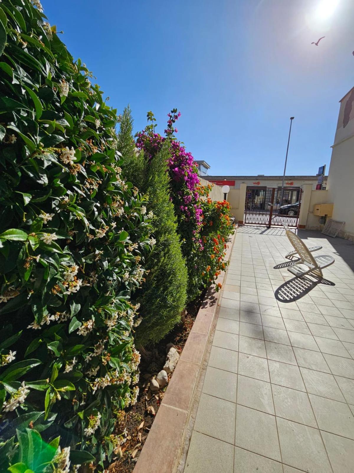 Bebo House Fiumicino Διαμέρισμα Εξωτερικό φωτογραφία